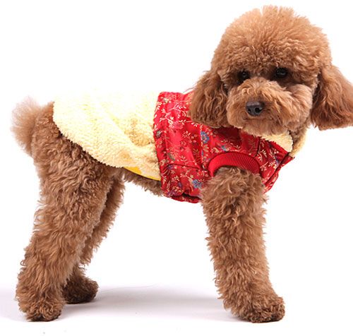 Yellow Winnie Bear Chinese Tang Costume Dog Clothes Apparel 5 Size 