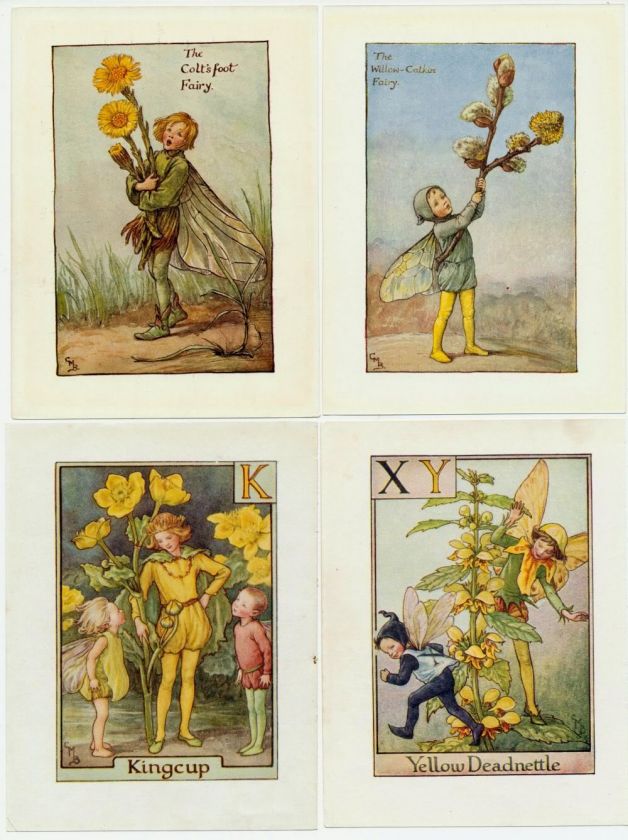   Prints c.1930 Cicely Barker Kingcup Yellow Deadnettle Coltsfoot  