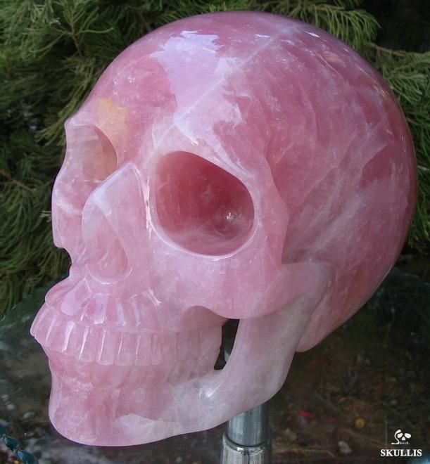 Excellent Titan 12.4 Pink Rose Quartz Rock Crystal Skull, Healing 