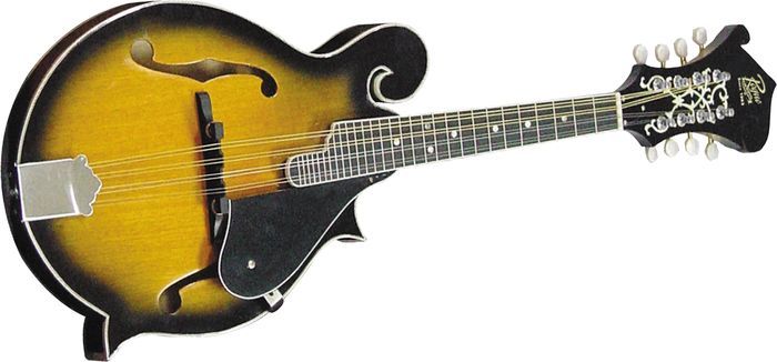 Rogue RM100F F Style Mandolin  