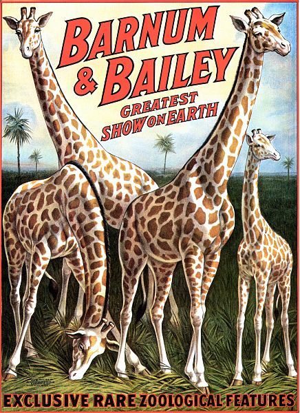 Barnum & Bailey Giraffe Circus Poster  