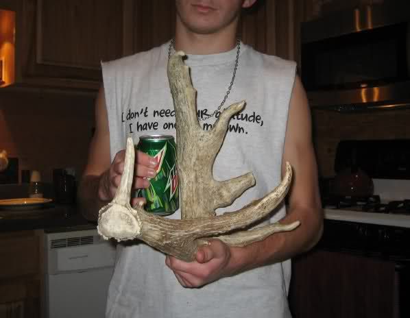 HUGE MASSIVE WHITETAIL DEER ANTLER SHEDS antlers mule  