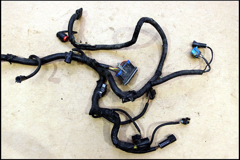 96 97 FORD MUSTANG SVT COBRA 4.6 DOHC ECU COMPUTER WIRING HARNESS 1996 