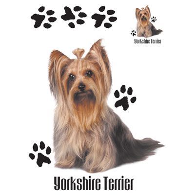 Yorkshire Terrier Dog Womens T Shirt   