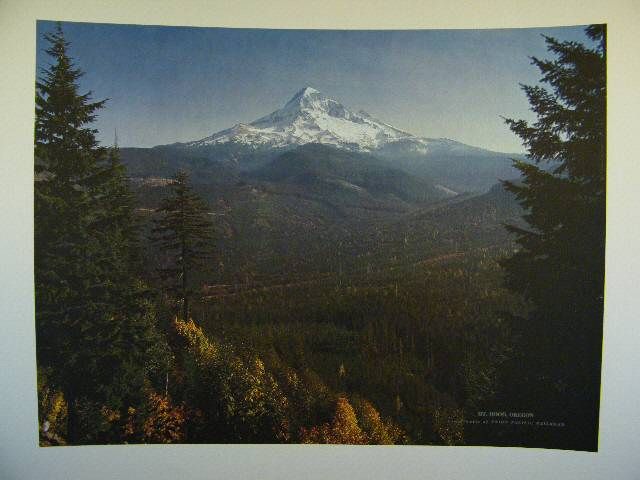 Union Pacific Railroad Poster Print Mt. Hood Oregon  
