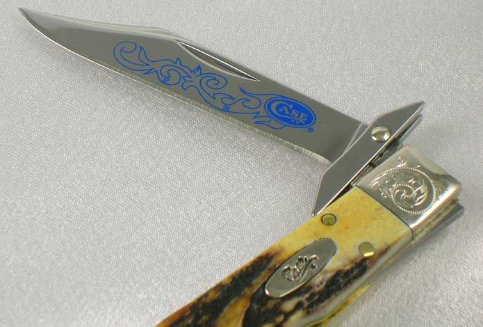 NEW Case XX Knives Blue Scroll Cheetah Cub Knife 08349E  