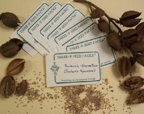   Seed Pack, Empress Tree, Fast Growing Flowering Plant, Gifts & Promos