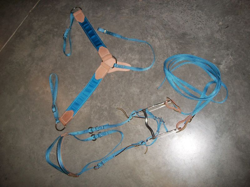 Nylon Bridle Breastcollar Reins Bit Curb SetSky Blue  