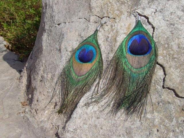 Cute Peacock Feather Dangle Earrings Chandelier Hook  